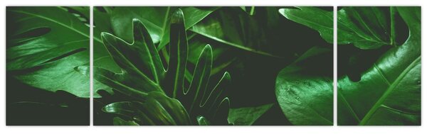 Obraz - Liście palmowe (170x50 cm)
