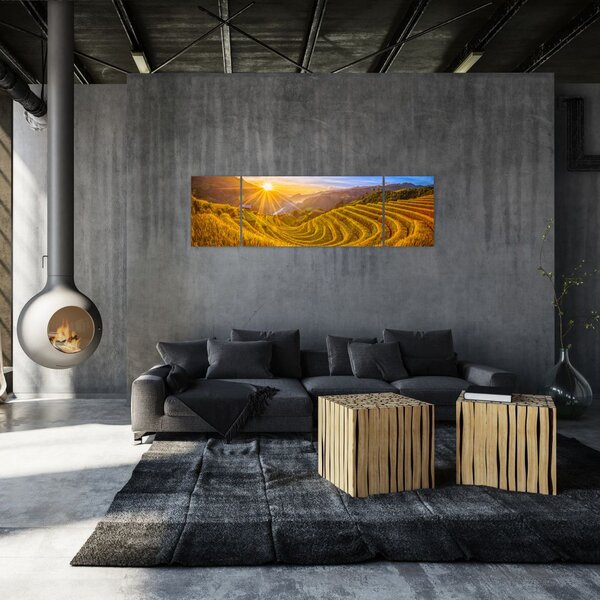 Obraz - Pole ryżowe w Wietnamie (170x50 cm)