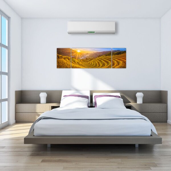 Obraz - Pole ryżowe w Wietnamie (170x50 cm)