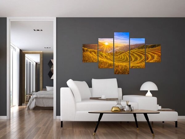 Obraz - Pole ryżowe w Wietnamie (125x70 cm)