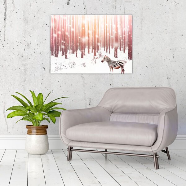 Obraz - Zebra w śnieżnym lesie (70x50 cm)