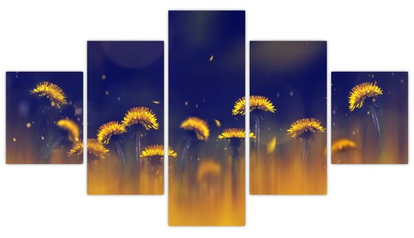 Obraz - Dmuchawce (125x70 cm)