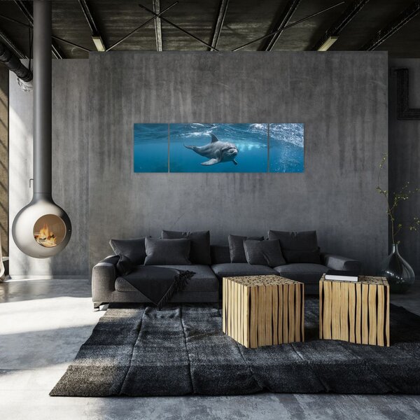 Obraz - Delfin pod wodą (170x50 cm)