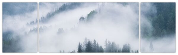 Obraz - Drzewa we mgle (170x50 cm)
