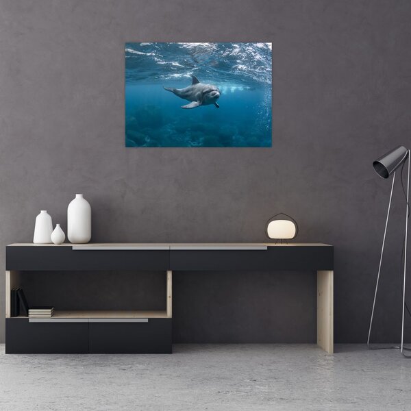 Obraz - Delfin pod wodą (70x50 cm)