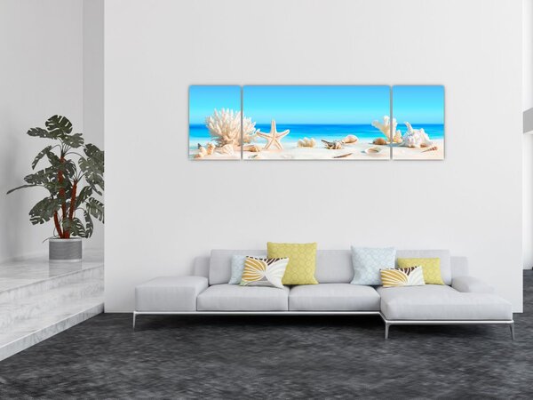 Obraz - Martwa natura z muszelkami (170x50 cm)