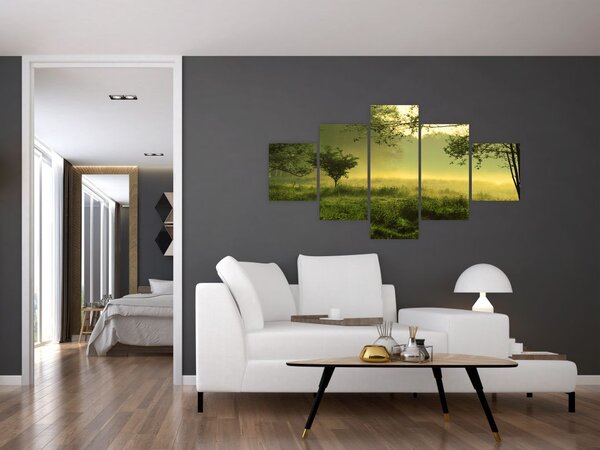 Obraz - Budzący się las (125x70 cm)