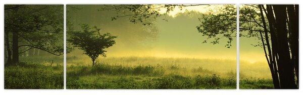 Obraz - Budzący się las (170x50 cm)