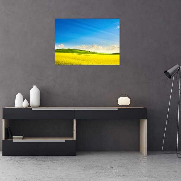 Obraz - Wiosenne niebo (70x50 cm)