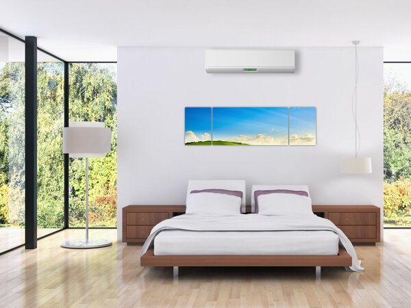 Obraz - Wiosenne niebo (170x50 cm)