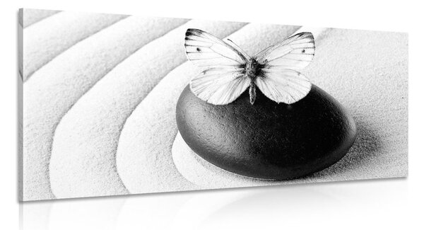 Obraz kamień zen z motylem w wersji czarno-białej