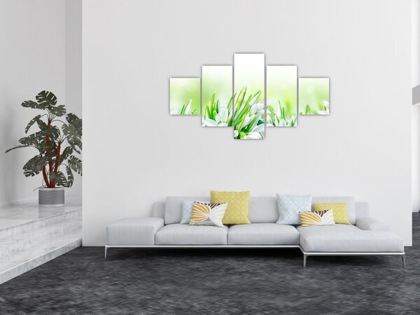Obraz - Przebiśniegi (125x70 cm)