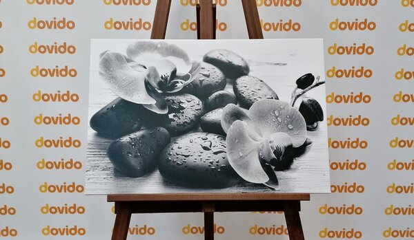 Obraz piękne połączenie kamieni i orchidei w wersji czarno-białej