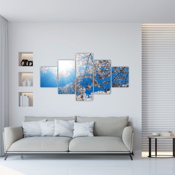 Obraz - Wiśniowe kwiaty (125x70 cm)