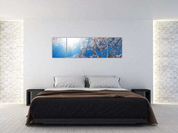 Obraz - Wiśniowe kwiaty (170x50 cm)