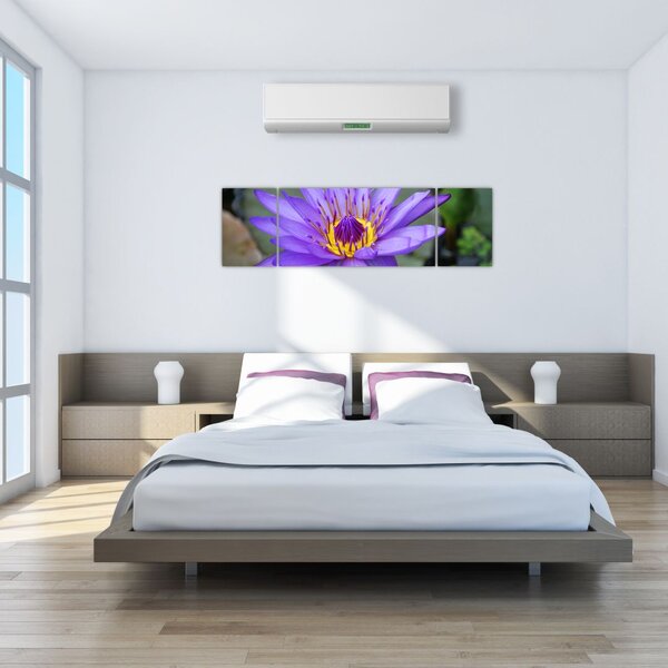 Obraz - Fioletowy kwiat (170x50 cm)