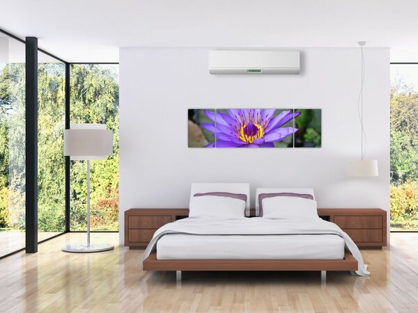 Obraz - Fioletowy kwiat (170x50 cm)