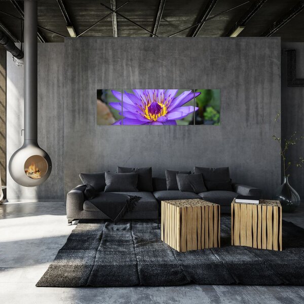 Obraz - Fioletowy kwiat (170x50 cm)