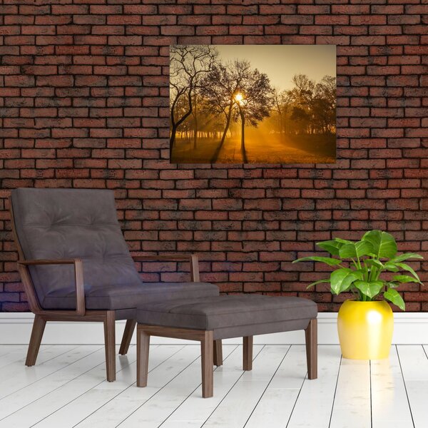 Obraz - Wschód słońca (70x50 cm)