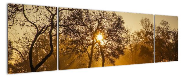 Obraz - Wschód słońca (170x50 cm)