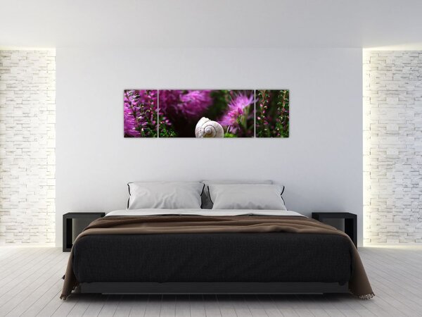 Obraz - Muszla ślimaka (170x50 cm)