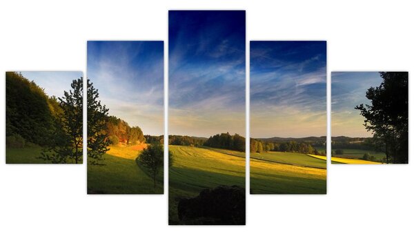 Obraz - Górska łąka (125x70 cm)