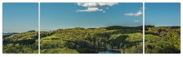 Obraz - Jezioro w lesie (170x50 cm)
