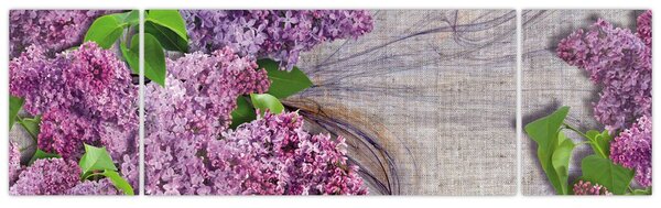 Obraz - Bez (170x50 cm)