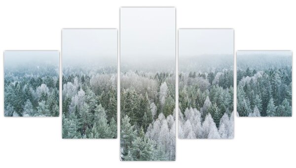 Obraz - Ośnieżone szczyty lasów (125x70 cm)
