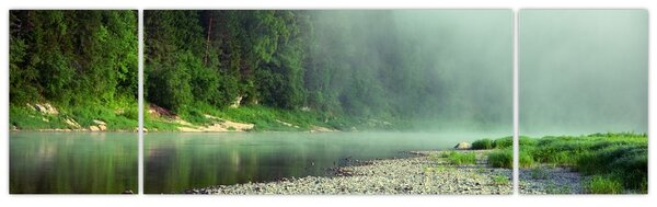 Obraz - rzeka przy lesie (170x50 cm)