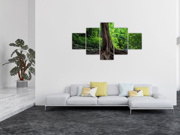 Obraz - Stare drzewo z korzeniami (125x70 cm)