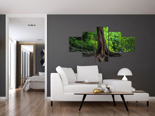 Obraz - Stare drzewo z korzeniami (125x70 cm)