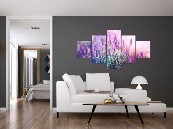 Obraz - Lawenda w słońcu (125x70 cm)