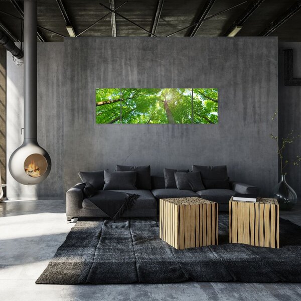 Obraz - Las (170x50 cm)