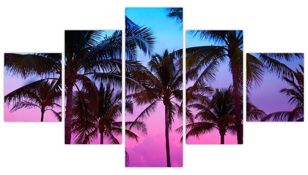 Obraz - Palmy w Miami (125x70 cm)