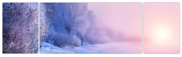 Obraz - Zamarznięta rzeka (170x50 cm)