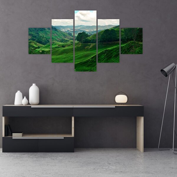 Obraz - Plantacje herbaty w Malezji (125x70 cm)