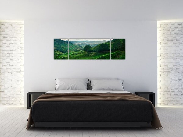 Obraz - Plantacje herbaty w Malezji (170x50 cm)