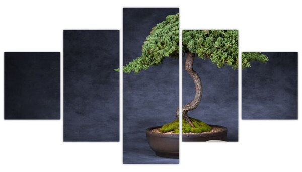 Obraz - Bonsai (125x70 cm)