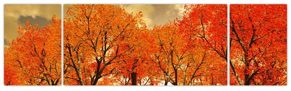 Obraz - Jesień (170x50 cm)
