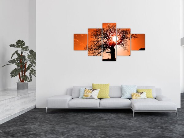 Obraz - Dąb o zachodzie słońca (125x70 cm)