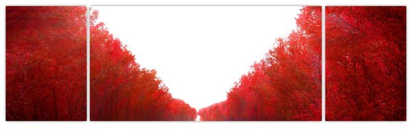 Obraz - Droga do miłości (170x50 cm)