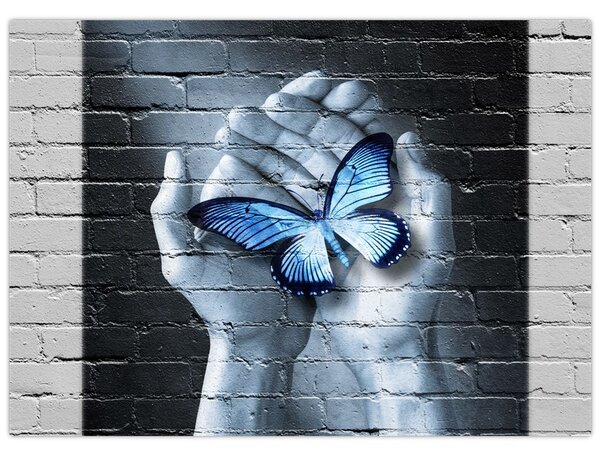 Obraz - Motyl na ścianie (70x50 cm)