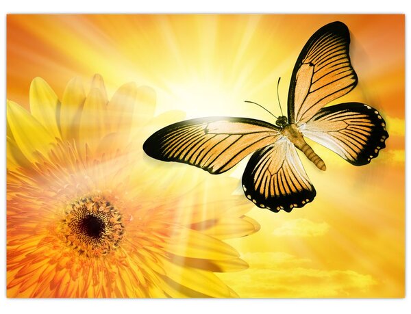 Obraz - Żółty motyl z kwiatkiem (70x50 cm)