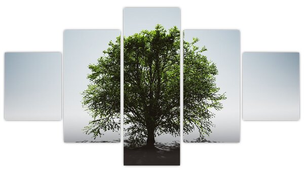 Obraz - Samotne drzewo (125x70 cm)