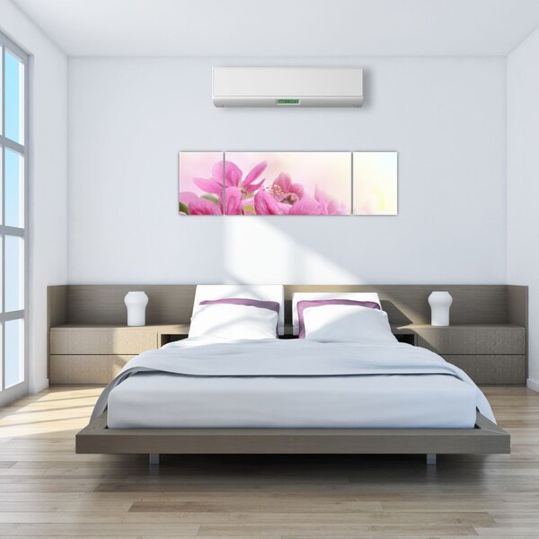 Obraz - Różowe kwiaty (170x50 cm)