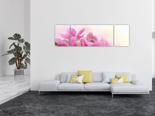 Obraz - Różowe kwiaty (170x50 cm)