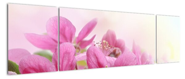 Obraz - Różowe kwiaty (170x50 cm)