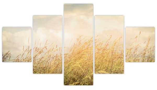 Obraz - Pole jesienią (125x70 cm)