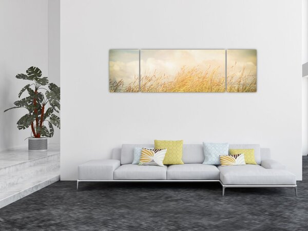Obraz - Pole jesienią (170x50 cm)